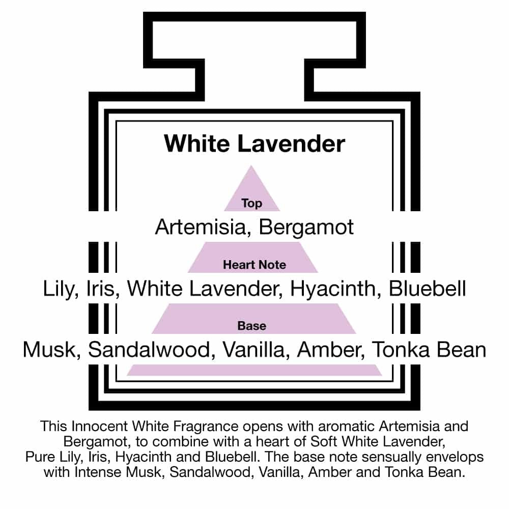 Pairfum London Reed Diffuser Tower Classic 100ml White Lavender with 10 Black Reeds