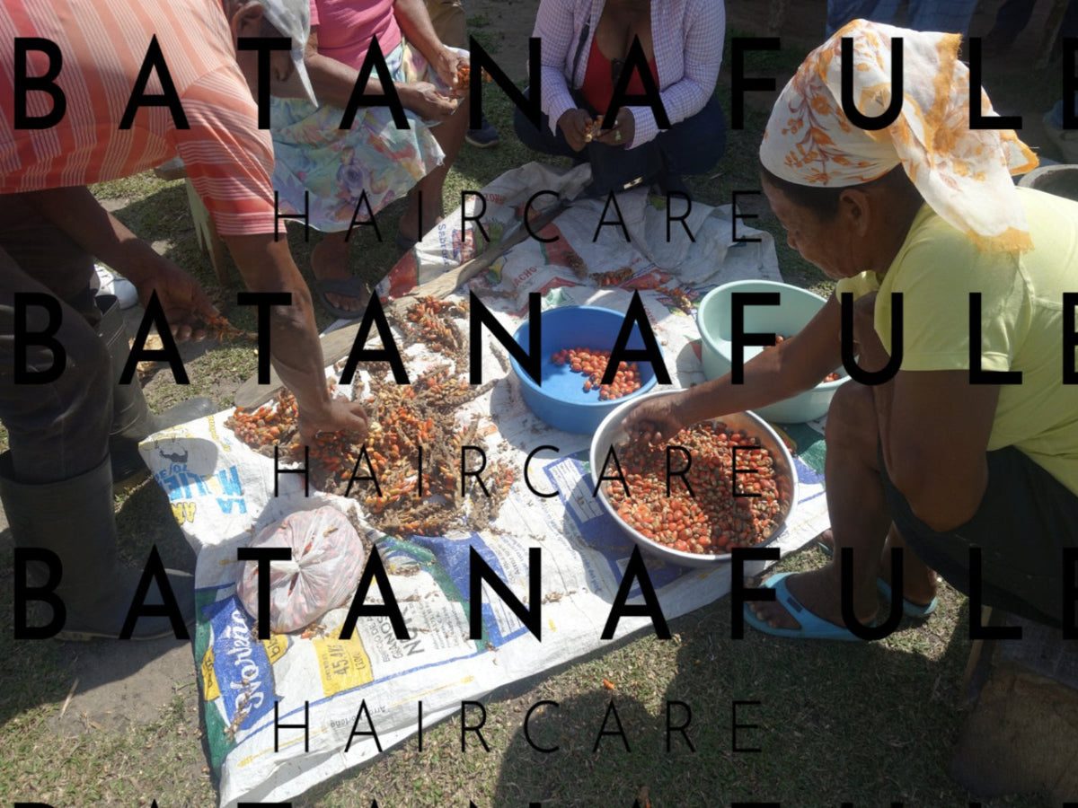 Pure Batana Oil 100ml | 100% Honduran Batana Oil Hair Repair Treatment