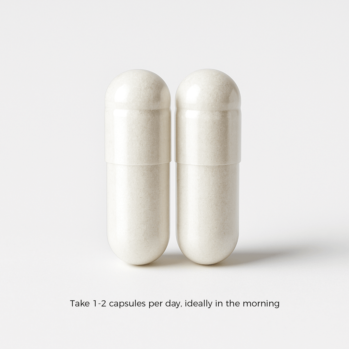 Charava Chaga 500mg