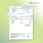 Herbalign Nootropic Brain Boost Capsules