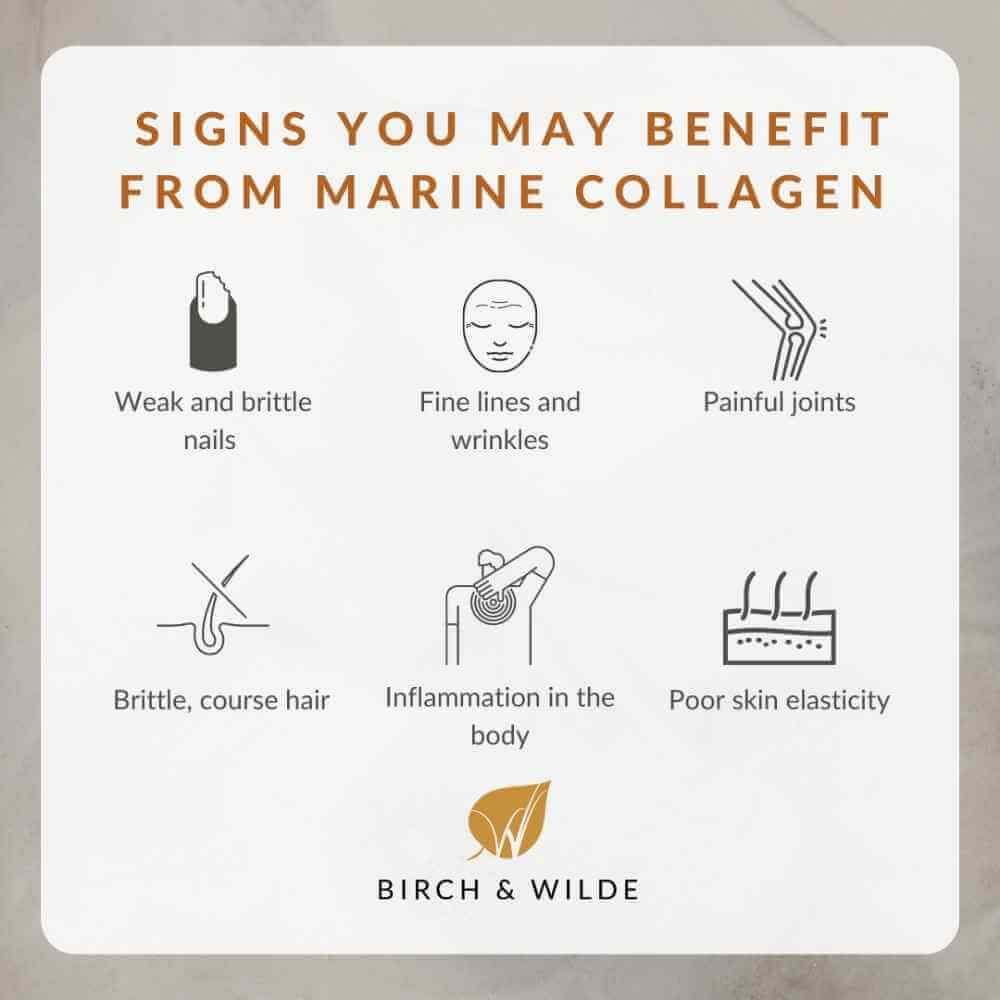 Birch & Wilde Marine Collagen 1200mg 90 Capsules