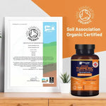 Organic Turmeric with Ginger and Black Pepper 2280mg High Strength | 180 Vegan Capsules