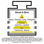 Pairfum London Luxury Reed Diffuser ‘eau de parfum’ 50ml - Neroli & Olive- 10 Black Reeds
