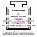 Pairfum London Reed Diffuser Tower Classic 100ml White Lavender with 10 Black Reeds