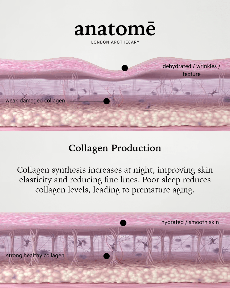 anatomē Illuminating Rose-hip, Grape Seed & Avocado Face Oil 30ml