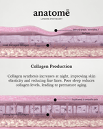 anatomē Illuminating Rose-hip, Grape Seed & Avocado Face Oil 30ml