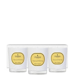 Parks London Vintage Aromatherapy Special Editions 50g 1 Wk X 3 Tuberose & Nutmeg