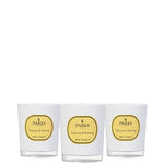 Parks London Vintage Aromatherapy Special Editions 50g 1 Wk X 3 Tuberose & Nutmeg