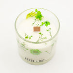 Agnes + Cat Botanical Soy Wax Candle 350g - Fellberry