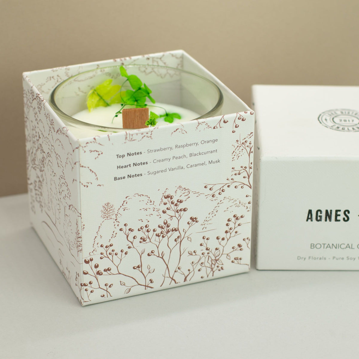 Agnes + Cat Botanical Soy Wax Candle 350g - Fellberry