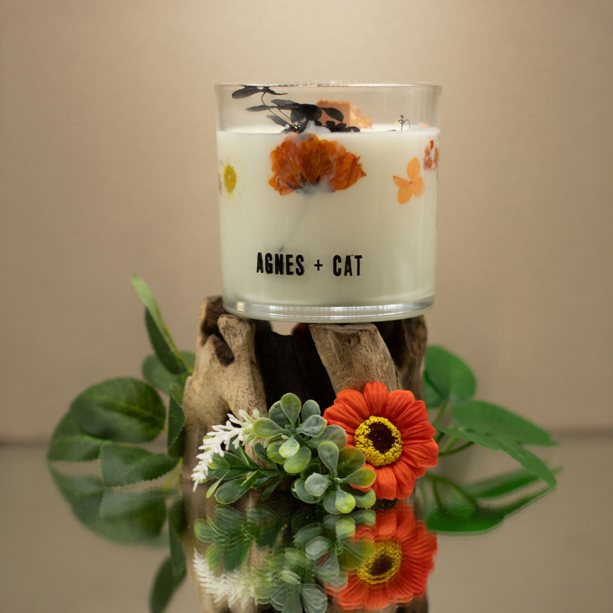 Agnes + Cat Botanical Soy Wax Candle 350g - Lakeland Mocha