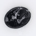 Lemon Charcoal Soap Bar 85g