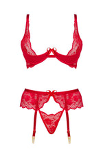 Beauty Night Rose Delicate Lace Bra, Thong & Garter Red Lingerie Set