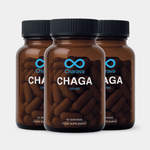 Charava Chaga 500mg 90 Days