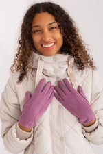 AT Patch-Detail Insulated Gloves