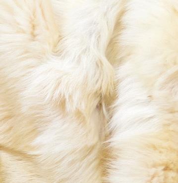 Katie Shearling Pillbox Hat Clotted Cream