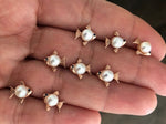 Rose Gold Stud Earring Little Fish with Pearl