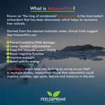 NR with Astaxanthin | NAD+ Booster 60 Capsules