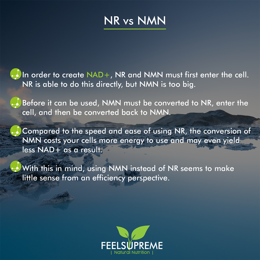 NR with Astaxanthin | NAD+ Booster 60 Capsules